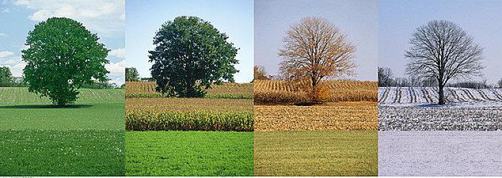 《炼金工房》系列25周年纪念 2021TGS公布周年纪念作品