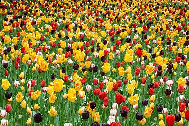 Epic喜加一！免费领取ARPG游戏《致命躯壳》